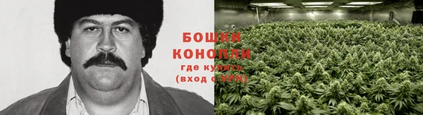 гидропоника Магадан