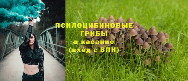 ГАЛЛЮЦИНОГЕННЫЕ ГРИБЫ Липки