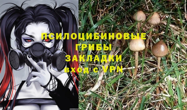 гидропоника Магадан