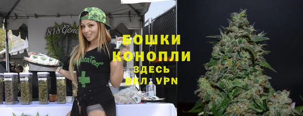 прущая мука Магас