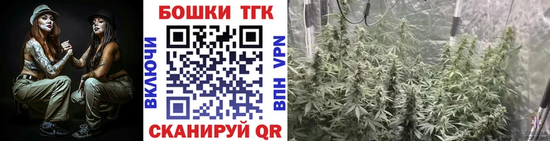 купить сайты Плёс Шишки марихуана ГИДРОПОН